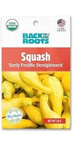 Back to the Roots - 100% Organic Seed Packet - Lettuce 'Gourmet Blend' 420mg