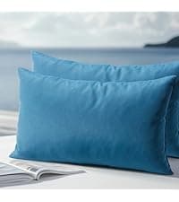 Waterproof Outdoor Pillows, Feather and Down Filled Outdoor Throw Pillows Water-Resistant Decorative Premium Lumbar Pillow Pack of 2