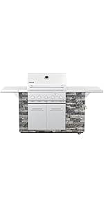 Spire Premium 5 Burner Built In Gas Grill Island Head, Stainless Steel 30 Inch Propane Grill with Rear Burner, 63,000 BTUs, 750 SQ In Racks, Dual Fuel Compatibility - 740-0788P