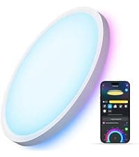 Govee Smart Ceiling Light, RGBIC LED Ceiling Light Fixture, 2400LM Flush Mount Light Fixture, DIY Colors, Works with Alexa, 2200K-6500K Ceiling Lights for Bedroom, Living Room, 12 Inch, 1 Pack