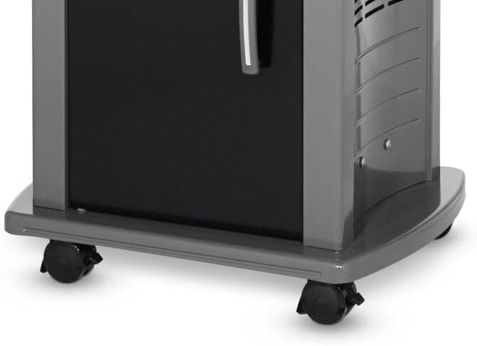 Weber Spirit E-210 Gas Grill | Liquid Propane, 2-Burner | Black