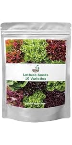 15,000+ Herb Seeds for Planting, 13 Varieties Heirloom Culinary Herb Seeds Gift Pack, Non-GMO Herb Seed Garden Kit for Indoor Outdoor Growing, Home Hydroponic Fresh Food Herb Supply