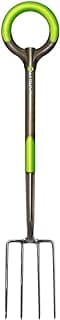 Radius Garden 203 PRO Garden Stainless Steel Digging Fork, One Size, Original Green