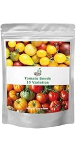 15,000+ Herb Seeds for Planting, 13 Varieties Heirloom Culinary Herb Seeds Gift Pack, Non-GMO Herb Seed Garden Kit for Indoor Outdoor Growing, Home Hydroponic Fresh Food Herb Supply
