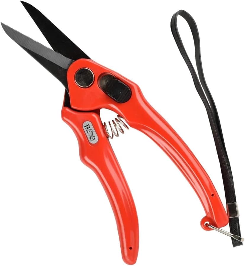 Other BURGON & BALL FOOTROT SHEARS SUPERSHARP, Clear, 350 ml, BBL0038
