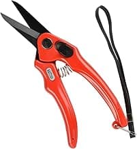 Other BURGON & BALL FOOTROT SHEARS SUPERSHARP, Clear, 350 ml, BBL0038