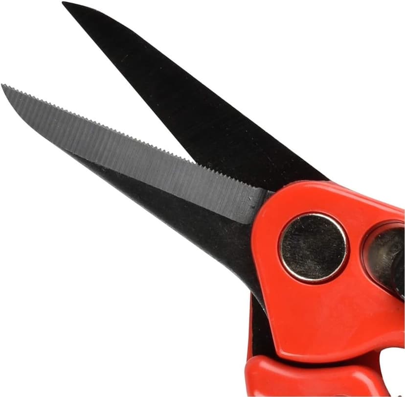 Other BURGON & BALL FOOTROT SHEARS SUPERSHARP, Clear, 350 ml, BBL0038