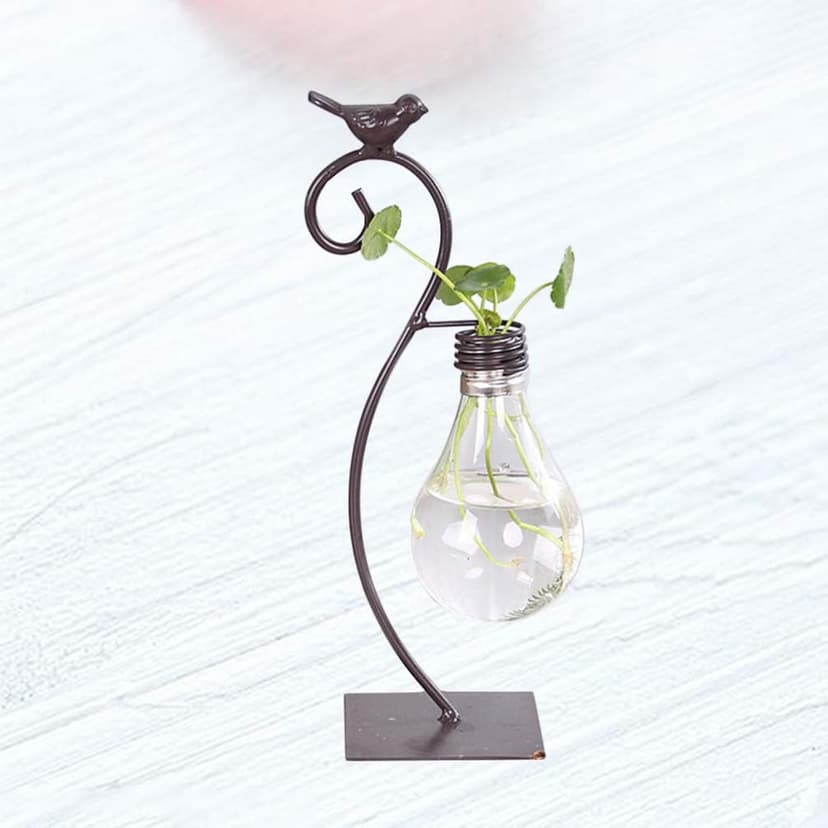 Healifty Plastic Planter Bulb Vase Hydroponics Plants Terrarium Flowerpot Decorative Pottery Planter for Any Occasion, Easy to Do and Fun to Grow