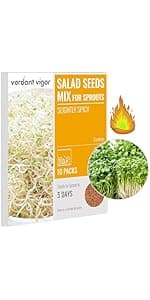 15,000+ Herb Seeds for Planting, 13 Varieties Heirloom Culinary Herb Seeds Gift Pack, Non-GMO Herb Seed Garden Kit for Indoor Outdoor Growing, Home Hydroponic Fresh Food Herb Supply