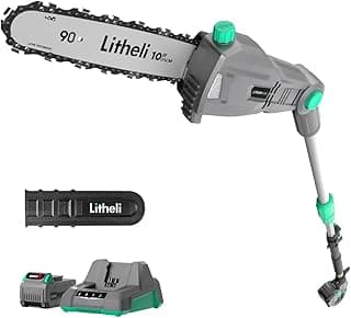 Litheli Cordless Pole Saw,10-Inch 40V Pole Saws for Tree Trimming, Electric Tree Saw for Branch Cutting, Pruning, 2.5Ah Battery& Charger Included