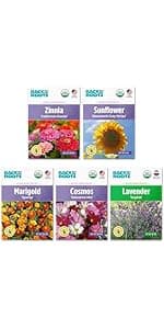 Back to the Roots Heirloom Organic, Non-GMO & USA Grown Seeds, 30ct Herb, Fruit, and Veggies, Assortment May Vary, Guaranteed to Grow