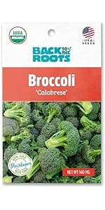 Seed Packet - Carrot 'Rainbow Blend'