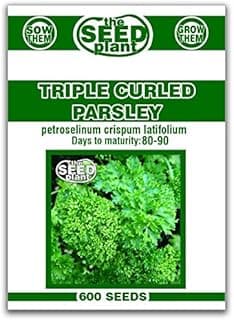 Triple Curled Parsley Seeds - 600 Seeds Non-GMO