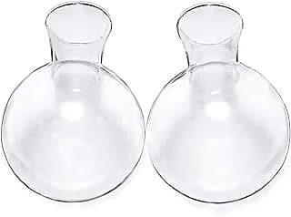 Kingbuy Bulb Forcing Vase Without Side-Hole Plant Propagation Station Air Plant Terrarium for Indoor Hydroponics Water Plants Home Office Decoration Accessories, 2 Pack