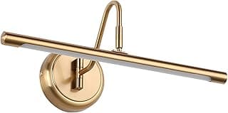 JOOSENLUX Modern Brass Picture Light Hardwired - 16.54'' for Wall Painting and Artwork Display - 7W LED Wall Lights(45W Eqv.) - Warm White 3000K - Hard Wired Connection with Swing Arm