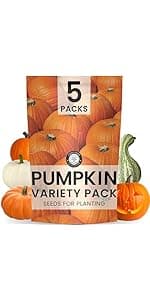 35 Vegetable Seeds | Survival Variety Pack | 2025 Season | Individually Packed Vegetables, Herbs and Fruits | Emergency Seed Vault for Doomsday Prepping | by Family Sown