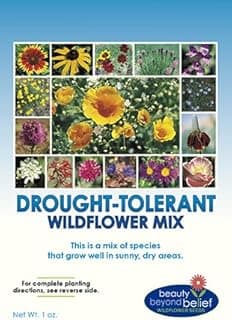 Drought Resistant Wildflower Seeds - 1oz, Open-Pollinated Bulk Flower Seed Mix for Beautiful Perennial, Annual Garden Flowers - No Fillers - 1 oz Packet