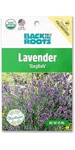 Seed Packet - Carrot 'Rainbow Blend'