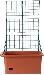 Self Watering Vegetable Planter Box with Trellis on Wheels - Mobile Garden