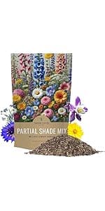 Wildflower Seeds Partial Shade Mix - 1 Ounce Over 7,000 Open Pollinated Annual and Perennial Seeds