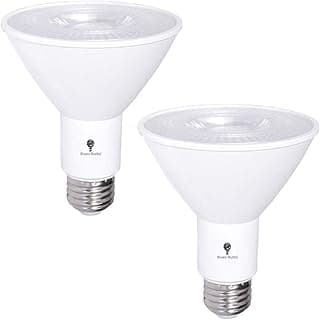 2 Pack PAR30 Outdoor LED Flood Light Bulb 12W 100 Watt Equivalent 900 Lumens Dimmable Waterproof E26 5000K Daylight LED Flood Light Bulbs for Security Led Spotlight Bulb Led Recessed Light Bulbs
