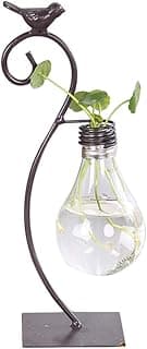 Healifty Plastic Planter Bulb Vase Hydroponics Plants Terrarium Flowerpot Decorative Pottery Planter for Any Occasion, Easy to Do and Fun to Grow