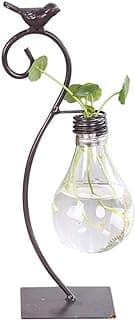 Healifty Plastic Planter Bulb Vase Hydroponics Plants Terrarium Flowerpot Decorative Pottery Planter for Any Occasion, Easy to Do and Fun to Grow