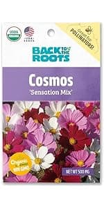 Back to the Roots - 100% Organic Seed Packet - Lettuce 'Gourmet Blend' 420mg