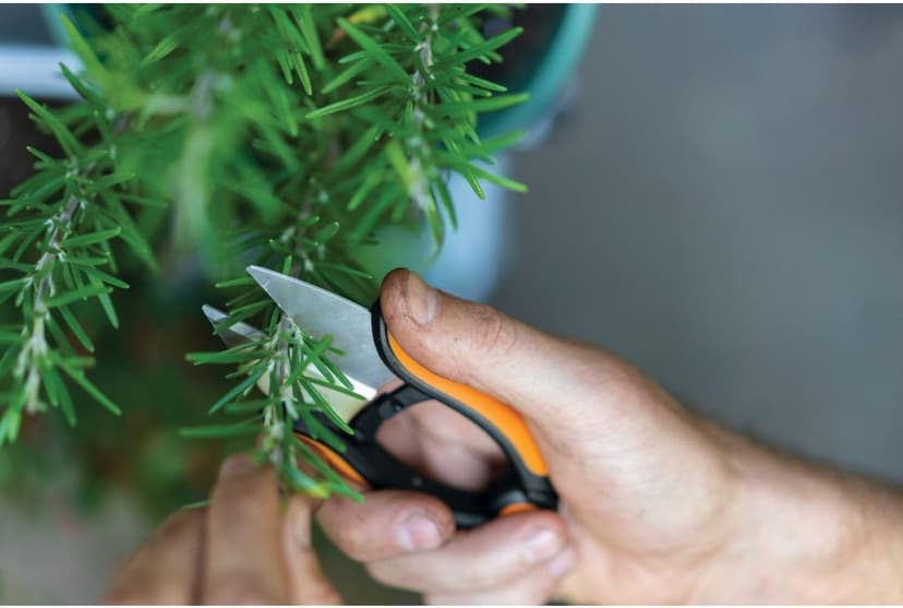 Fiskars Herb Garden Herb Scissors, 5-Inch Garden Shears, Handheld Herb Snips with Sheath and SoftGrip Handle, Dishwasher Safe