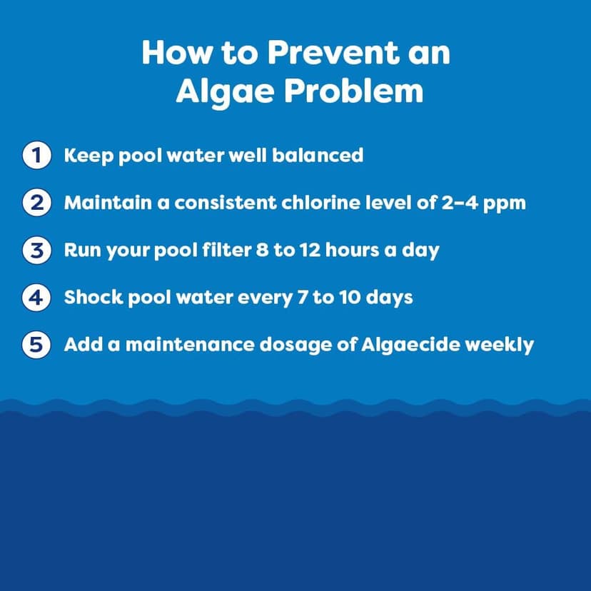 In The Swim Super Algaecide for Above Ground or Inground Swimming Pools – Low Odor, Non-Foaming Preventative for Yellow/Mustard Algae in Swimming Pools - 7.1% Chelated Copper – 1 Quart