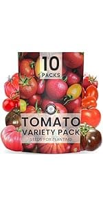 35 Vegetable Seeds | Survival Variety Pack | 2025 Season | Individually Packed Vegetables, Herbs and Fruits | Emergency Seed Vault for Doomsday Prepping | by Family Sown
