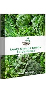 15,000+ Herb Seeds for Planting, 13 Varieties Heirloom Culinary Herb Seeds Gift Pack, Non-GMO Herb Seed Garden Kit for Indoor Outdoor Growing, Home Hydroponic Fresh Food Herb Supply