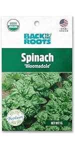 Seed Packet - Carrot 'Rainbow Blend'