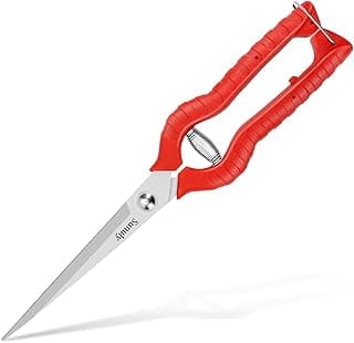 Extra Long Pruning Shears, Gardening Hand Pruners with Stainless Steel Blades, Garden scissors for Arranging Flowers, Trimming Plants, Harvesting Herbs, Fruits or Vegetables, 9.5IN