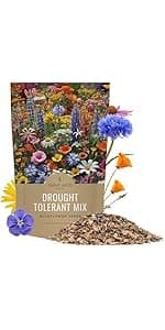 Drought Tolerant Wildflowers Mix – Extra Large Packet – Over 7,500 Open Pollinated Non-GMO Seeds – 21 Different Dryland Species
