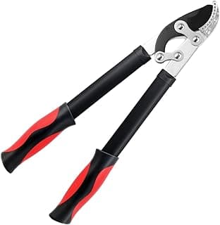 The 11 best pruning shears for thick branches of 2025