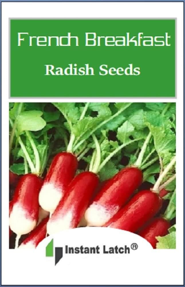 100 French Breakfast Radish Seeds | Non-GMO | Fresh Garden Seeds