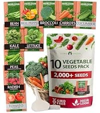 HOME GROWN 15 Culinary Herb Seeds 4,500+ Heirloom 𝗡𝗢𝗡-𝗚𝗠𝗢, 𝗨𝗦𝗔-𝗦𝗢𝗨𝗥𝗖𝗘𝗗 High Germination Rate, for Planting Indoor Hydroponic Outdoor, Gardening Gifts for Women Men, Mothers Day Gifts