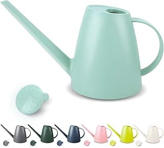 The 12 best watering cans for indoor plants of 2025
