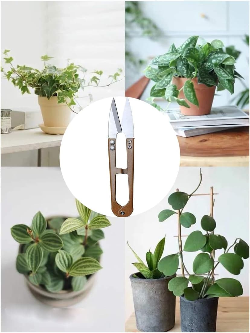 3 Pack 4.1Inch Bonsai Pruning Scissors, Bud And Leaves Trimmer Yarn Thread Cutter Snips Trimming Supplies, Garden Plants, Gardening Clippers Flower, Stainless Steel Pruners Trimmers