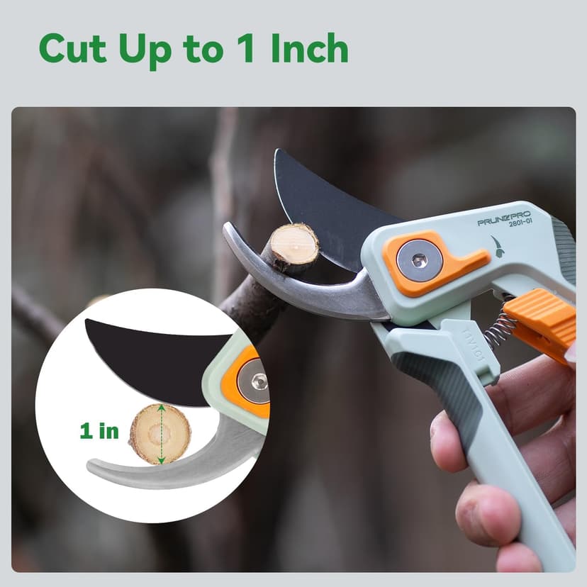 PrunePro Pruning Shears for Gardening Professional Bypass Hand Pruner Up to 1 Inch Cut Capacity Sharp Stainless Steel Blade Garden Scissors Plant Flower Garden Clipper 1 Pack