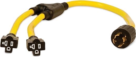 Champion 3-Foot 30-Amp 125/250-Volt Generator Y-Adapter (L14-30P to two 5-20R)