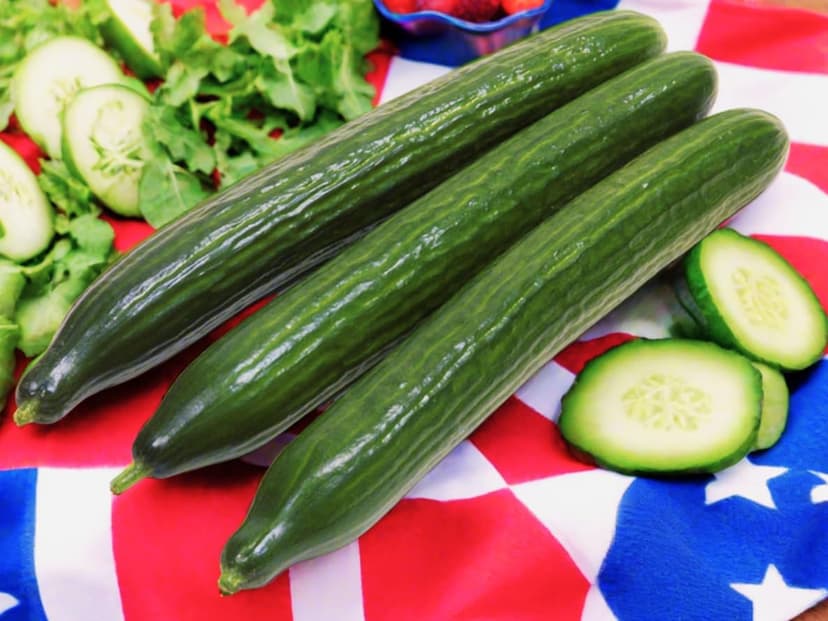 English Telegraph Burpless Cucumber (English Cucumber) Seeds - 30+ Count - for 2025 Planting Hothouse Cucumbers Crisp European Near-Seedless Long Heirloom Vegetable Grow Your Own Home