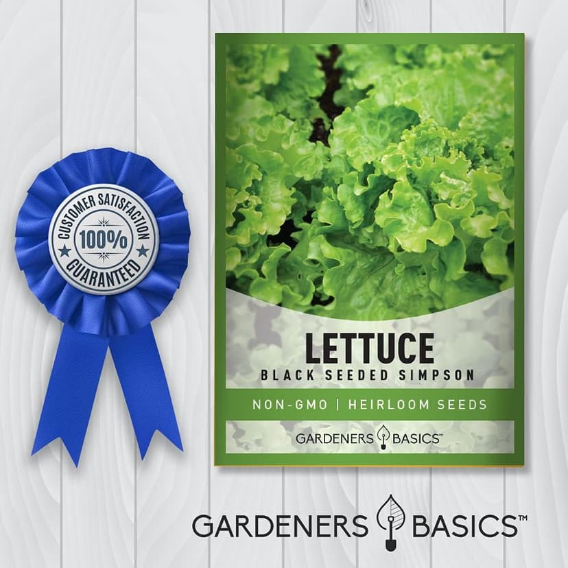 Gardeners Basics, Green Leaf Lettuce Seeds for Planting - (Black Seeded Simpson Variety) Heirloom, Non-GMO Lettuce Variety- 2 Grams Seed Great for Spring, Summer, Fall, Winter Garden and Hydroponics