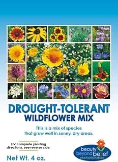 Drought Tolerant Wildflower Seeds - 4oz, Open-Pollinated Bulk Flower Seed Mix for Beautiful Perennial, Annual Garden Flowers - No Fillers - 4 oz Packet