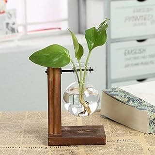 Plant Terrarium with Wooden Stand, Desktop Propagation Stations Glass Air Planter Metal Swivel Holder for Indoor Live Hydroponics Plants Office Home Garden Decor (1 Bulb Vase)