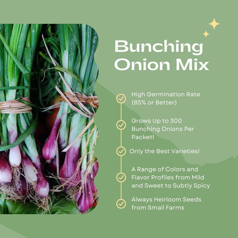 “Bunching Onion Mix” Bunching Onion Seeds – Fast-Growing Bunching Onions – Red, Long White, and Standard Green Onions in Each Pack - Harvest in 50 Days | USA Grown Heirloom Seeds By Liliana's Garden |