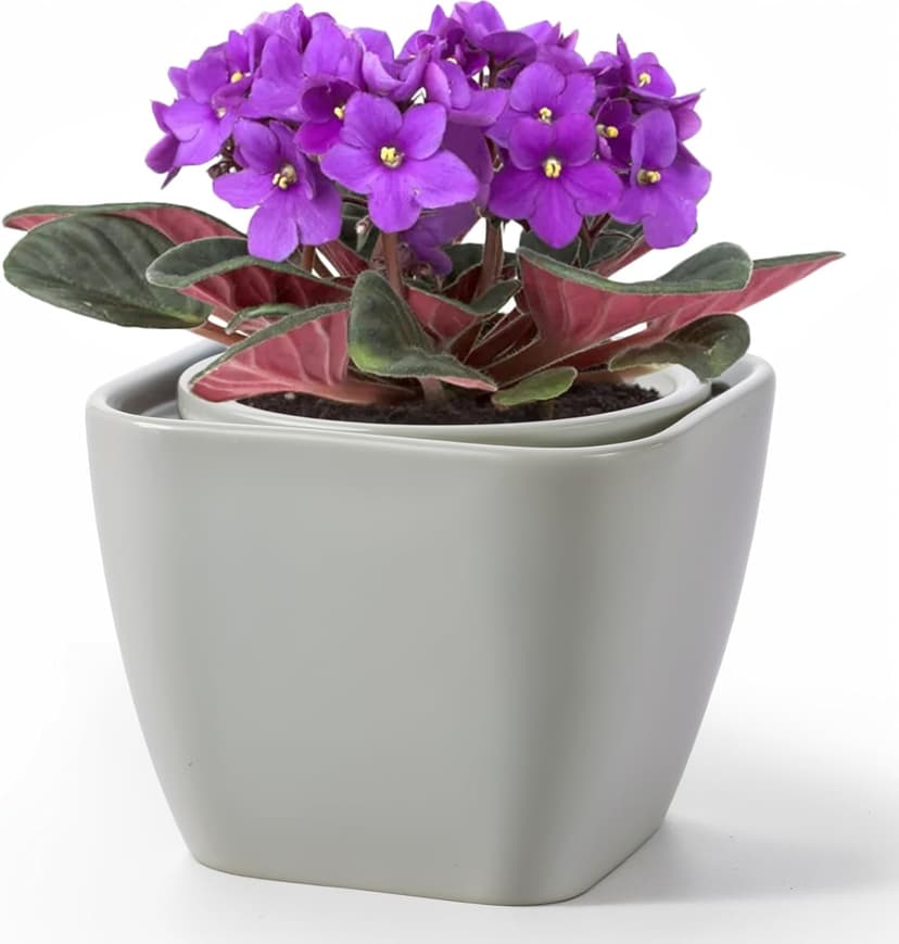 African Violet Pot Self Watering Ceramic Planter Pots, Easy Self Watering Planter for Busy Plant Lovers, Automatically Absorb Appropriate Amount of Water - Plants Not Included