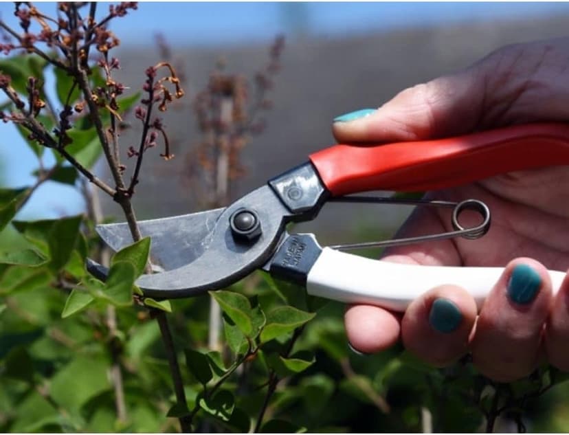Okatsune Pruning Shears Unique 8.3 inches (210 mm) (Blister) No. 104