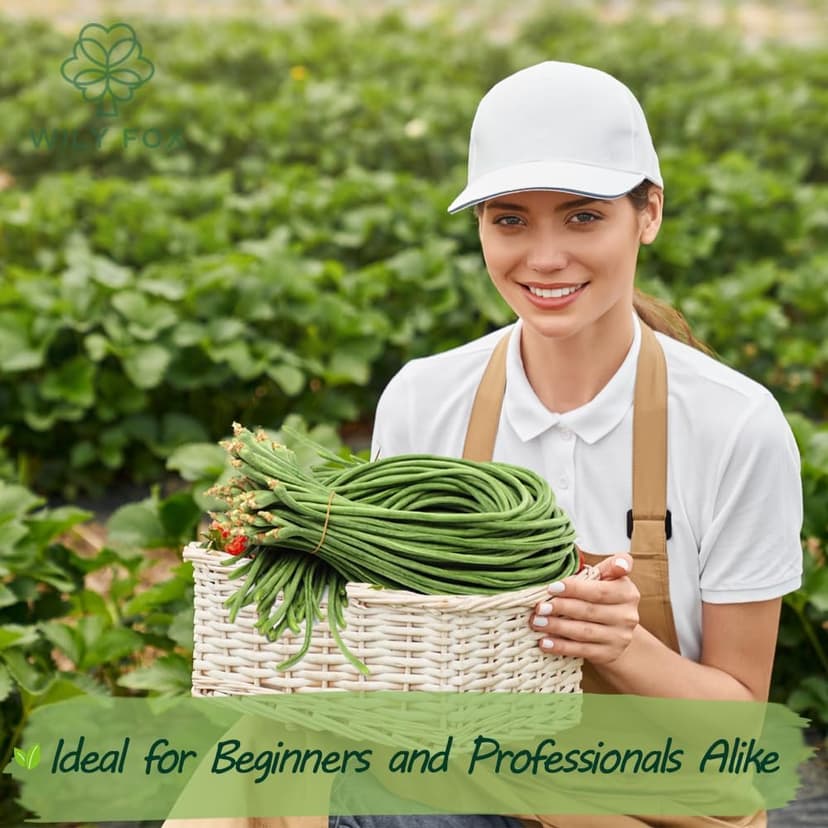 Premium Rare Yard Long Bean Seeds for Planting - 50 Non-GMO Seeds, Easy to Grow, High Yield, Delicious Productive Long Bean Variety for Home Garden and Backyard